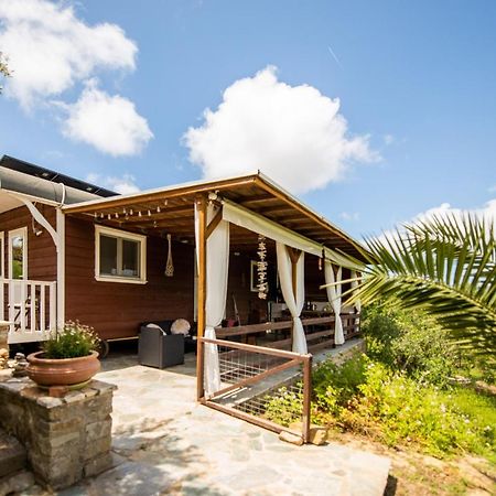 Hakuna Matata Holidays Wooden Lodge With Airco & Pool In Greek Olive Grove Метони Экстерьер фото