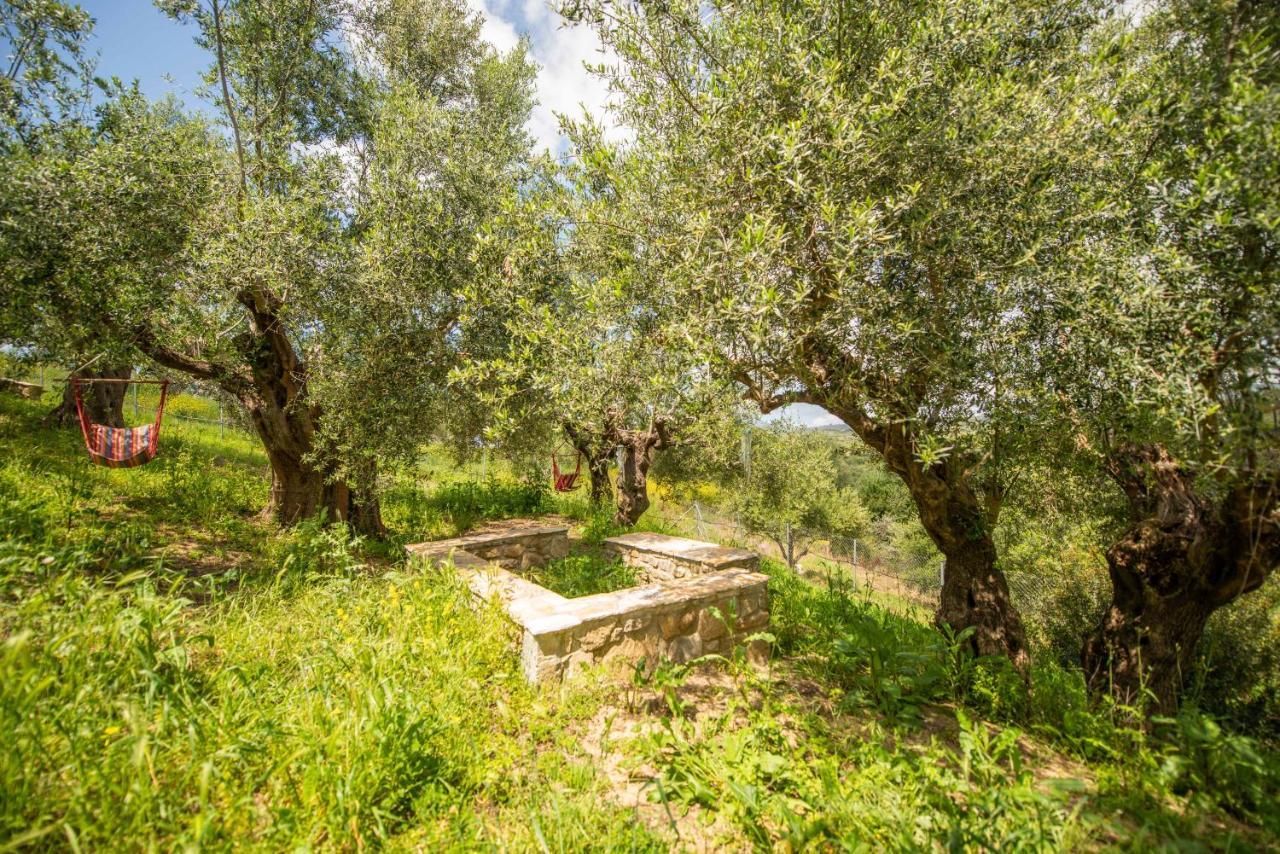 Hakuna Matata Holidays Wooden Lodge With Airco & Pool In Greek Olive Grove Метони Экстерьер фото